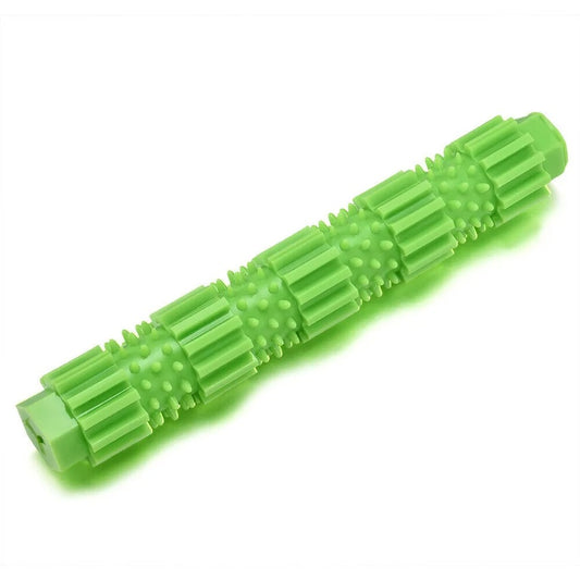 Jouet Baton pour chien à mâcher en caoutchouc Vert