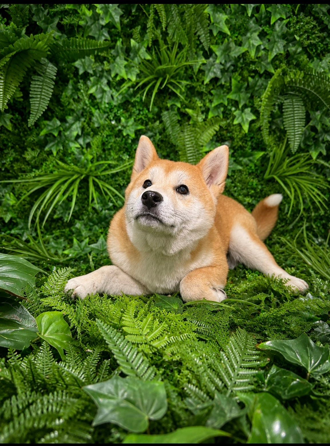 4822