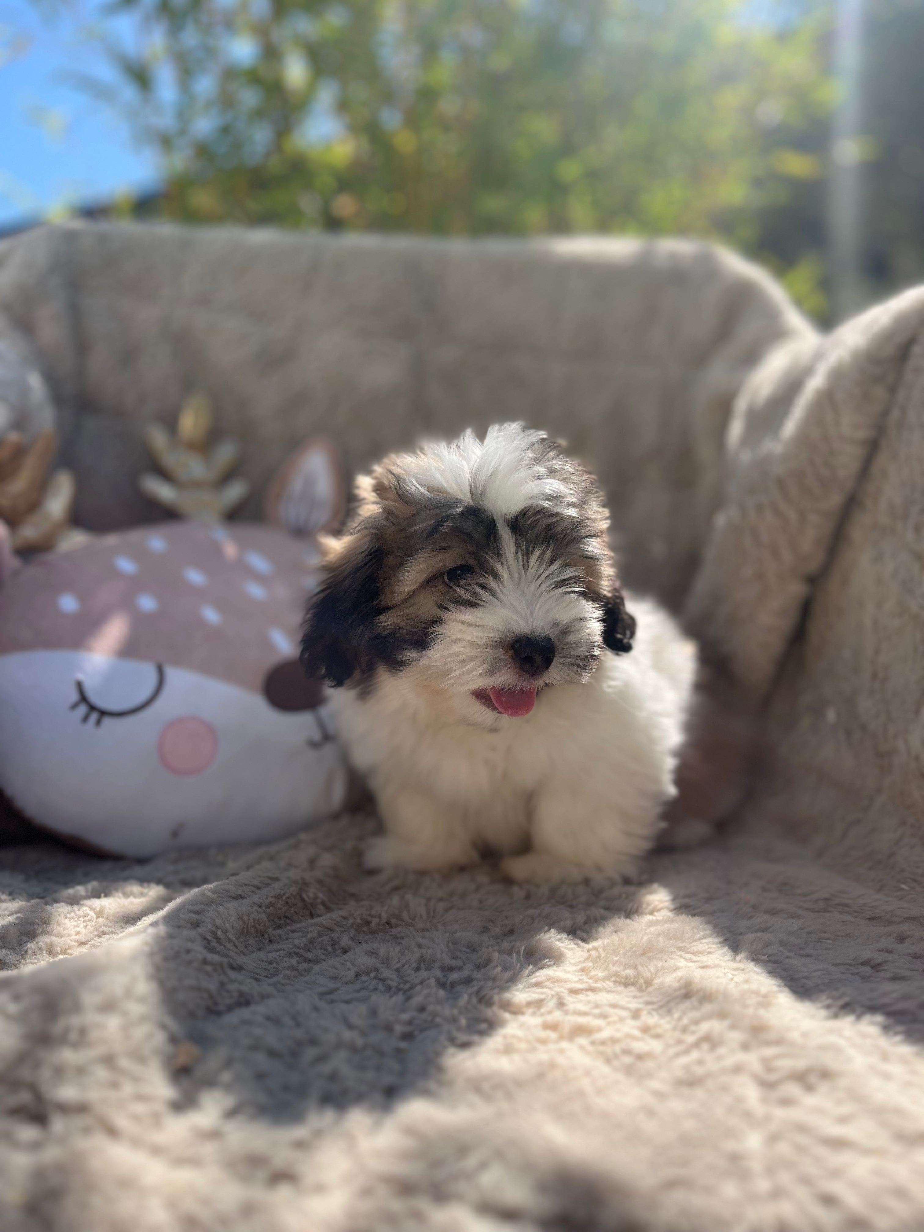 2105