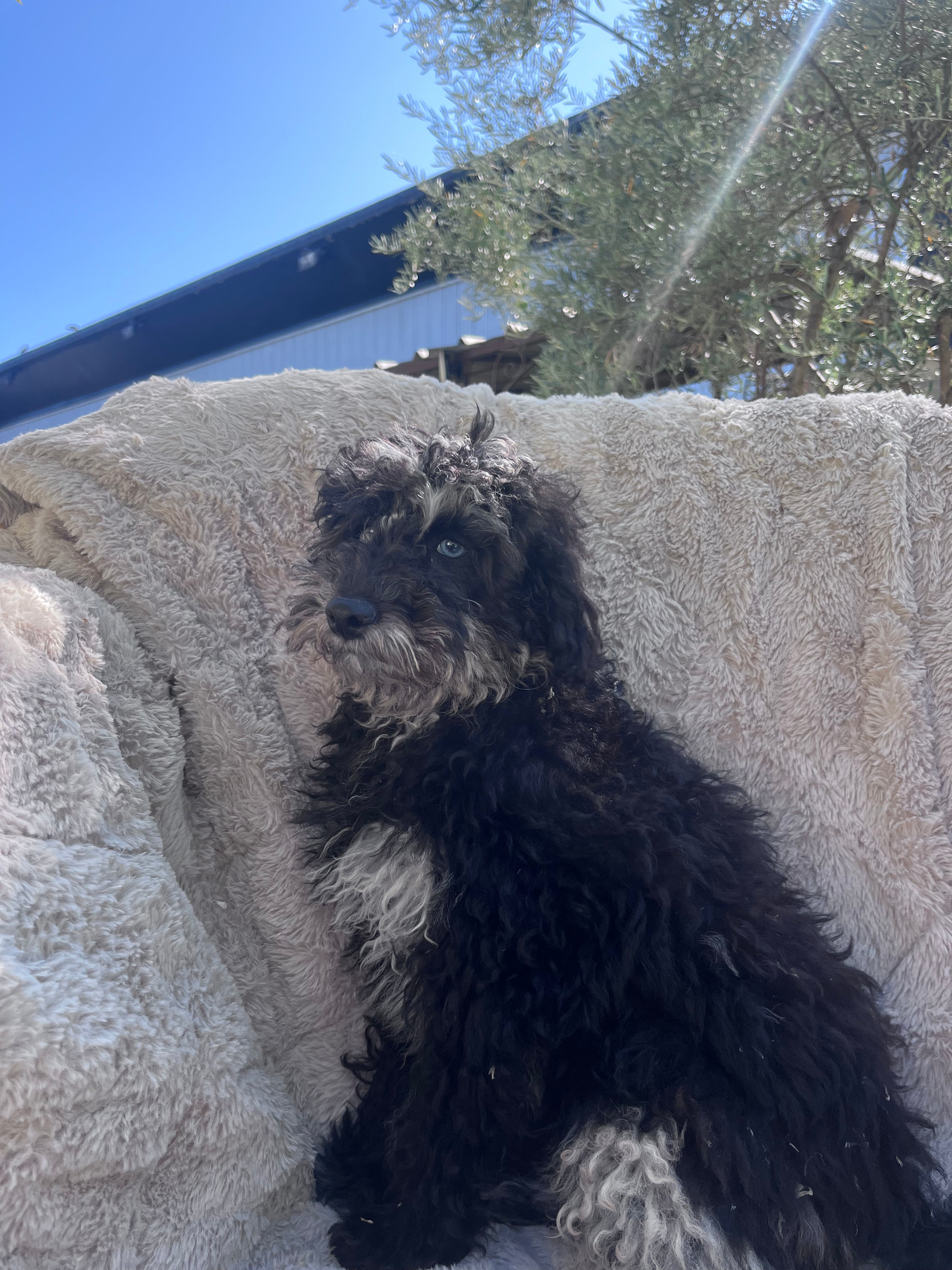 7014