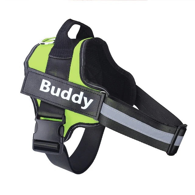 Harnais Y sans traction vert pour chien et chiot